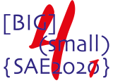 SAE 2020 logo