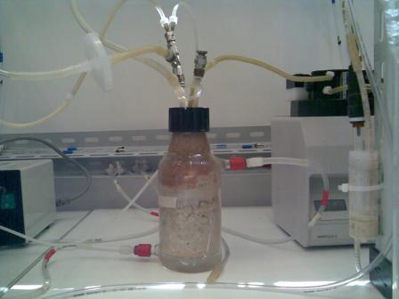 tubolar photobioreactors