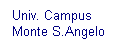 Casella di testo: Univ. Campus
Monte S.Angelo
