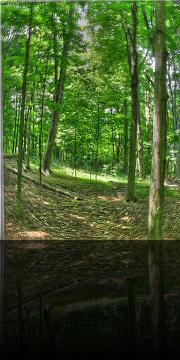 Toronto_Zoo