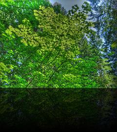 Vancouver_Capilano_3